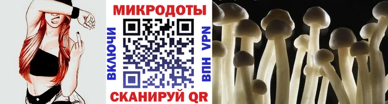 Купить закладки  Геленджик  Псилоцибиновые грибы Psilocybine cubensis 